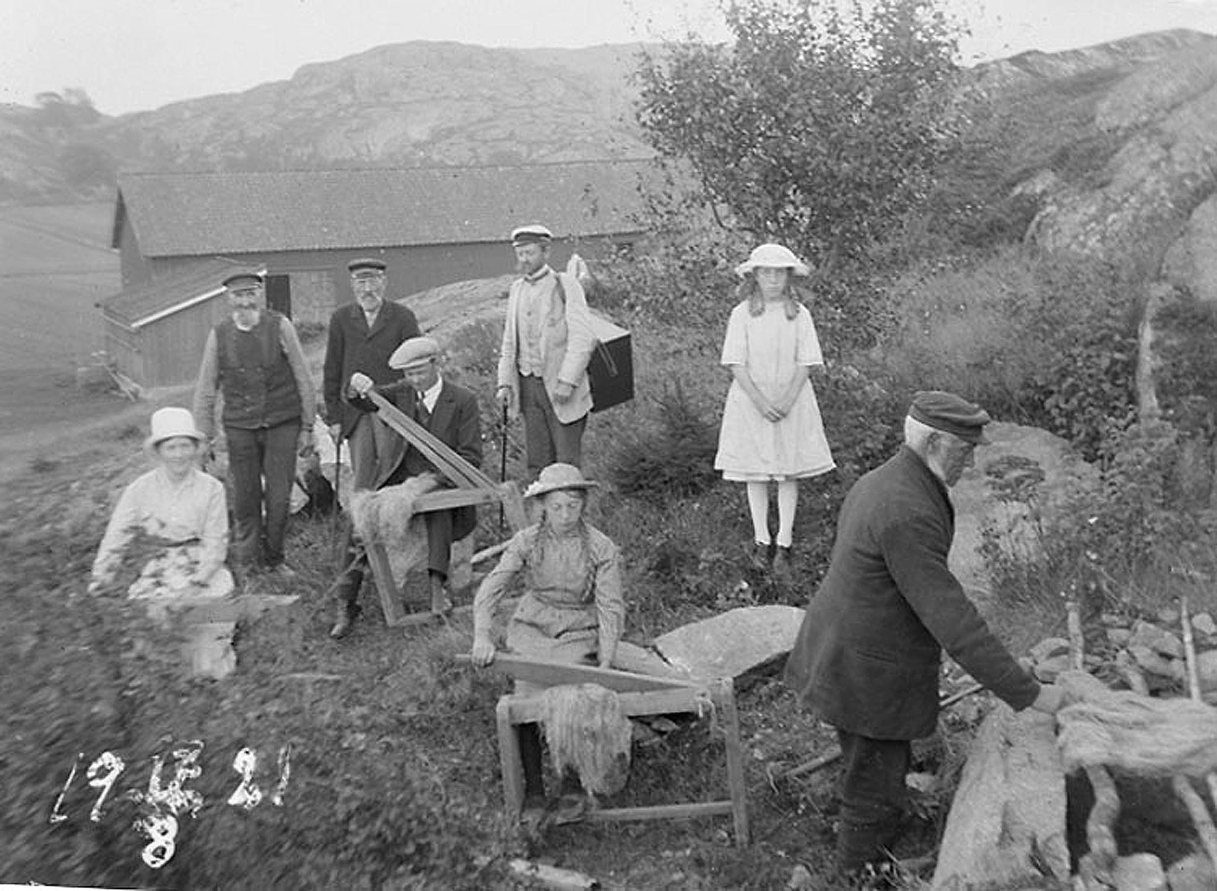 Svartvit bild av människor som skördar lin i Kville 1921