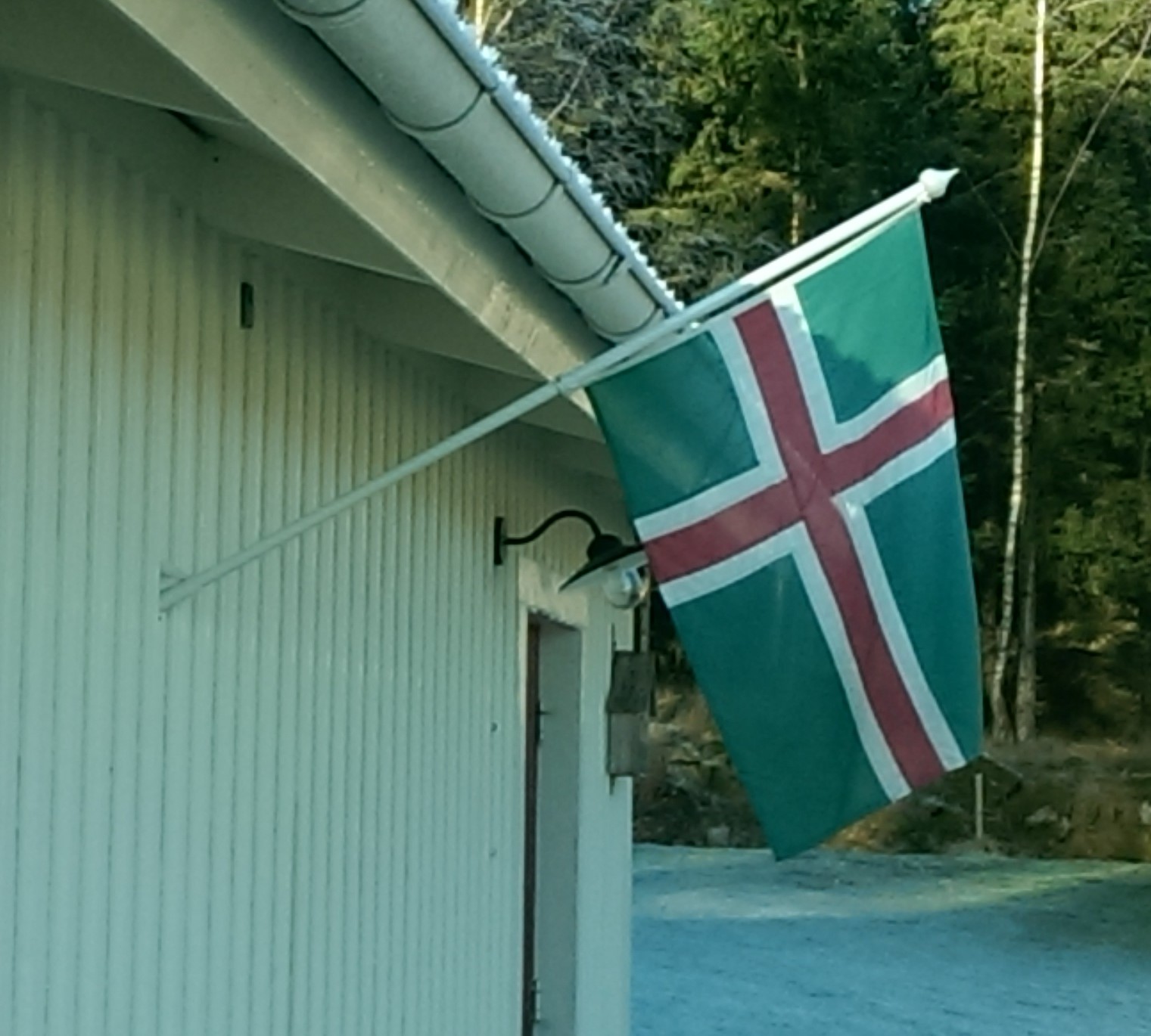 Bild på Smålandsflaggan