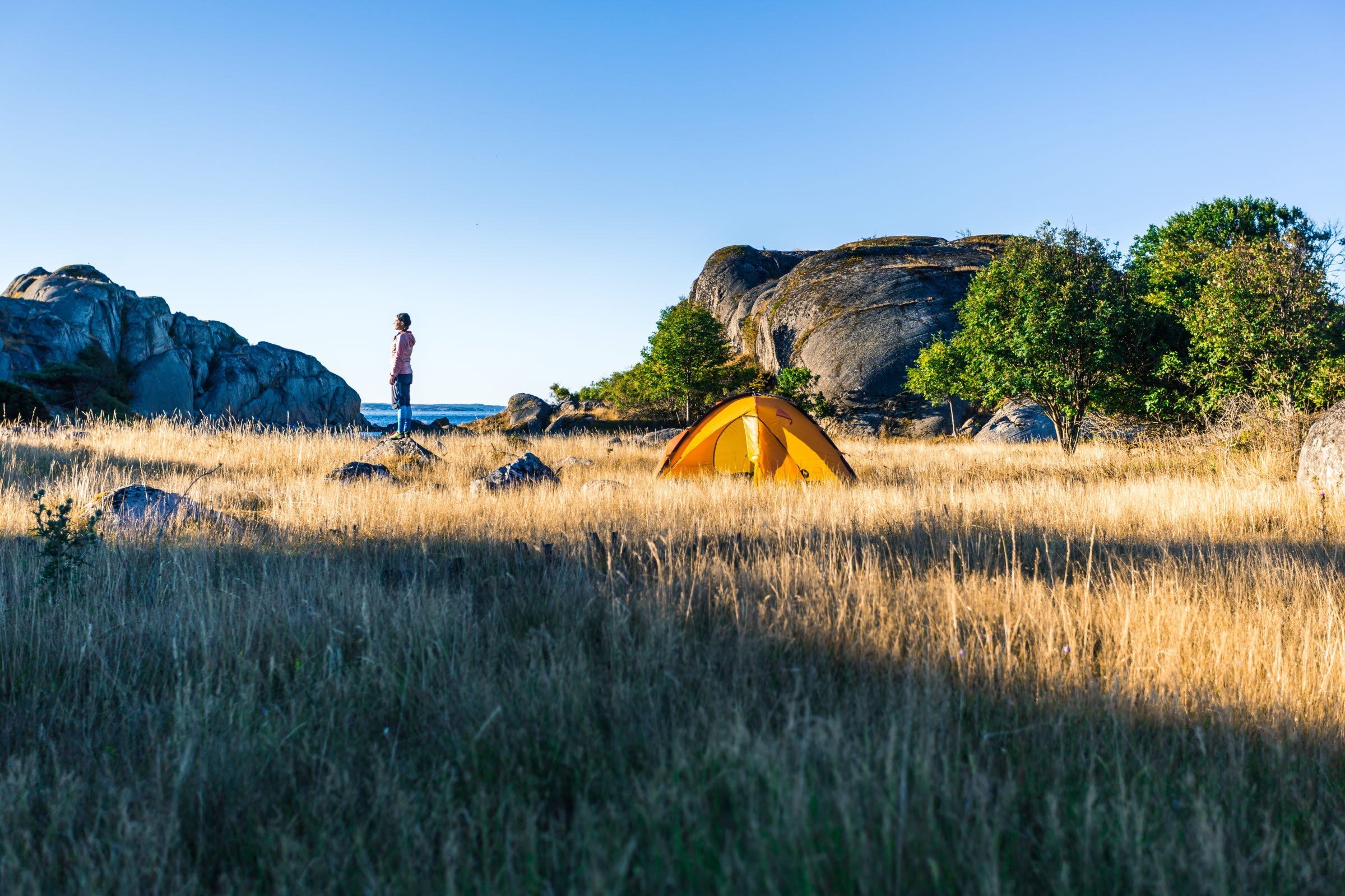 En person tältar på en åker vid havet