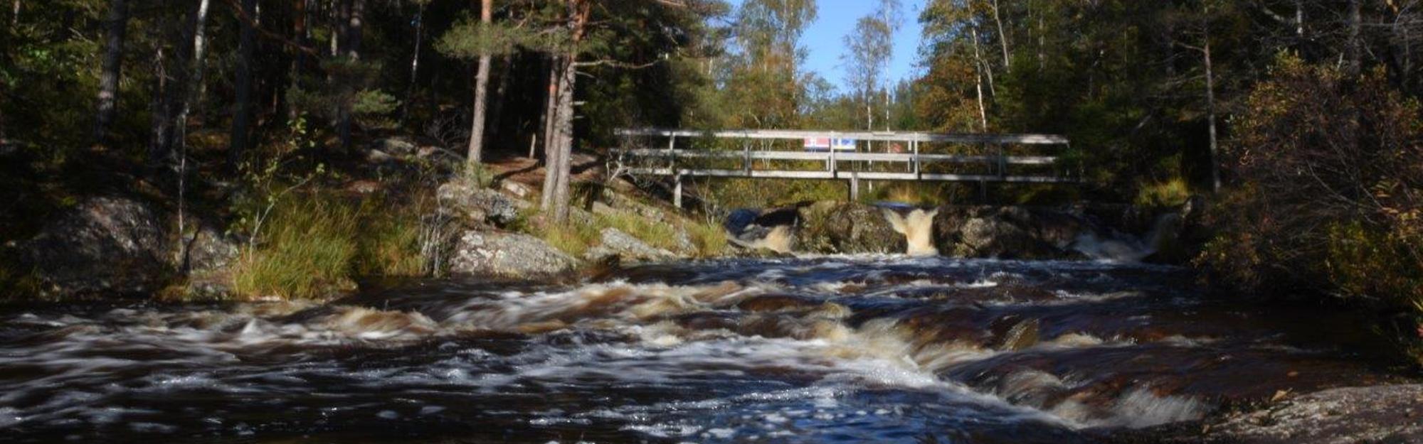 Älgafallet
