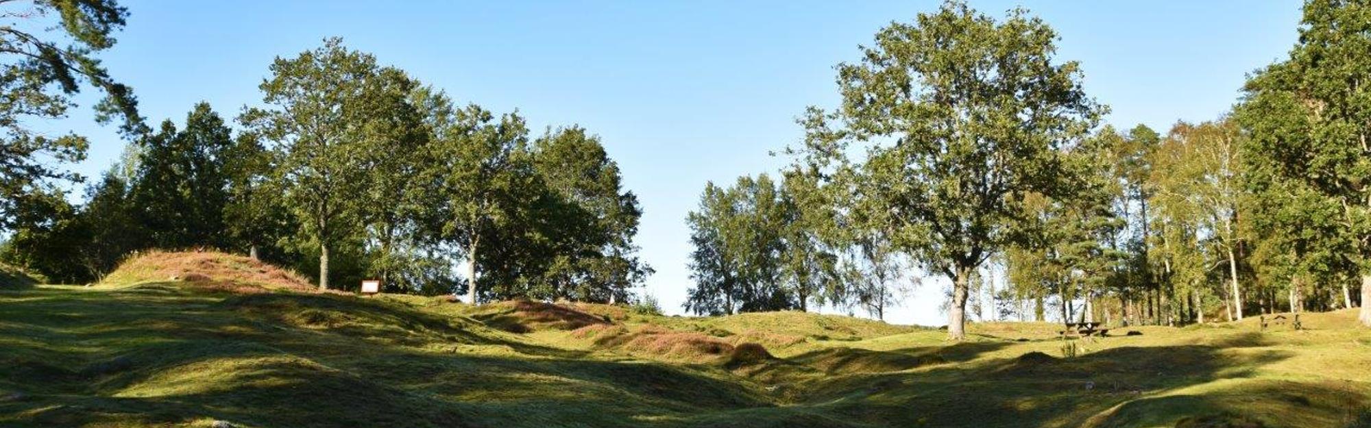 Åkermark under en blå himmel i Bärfendal
