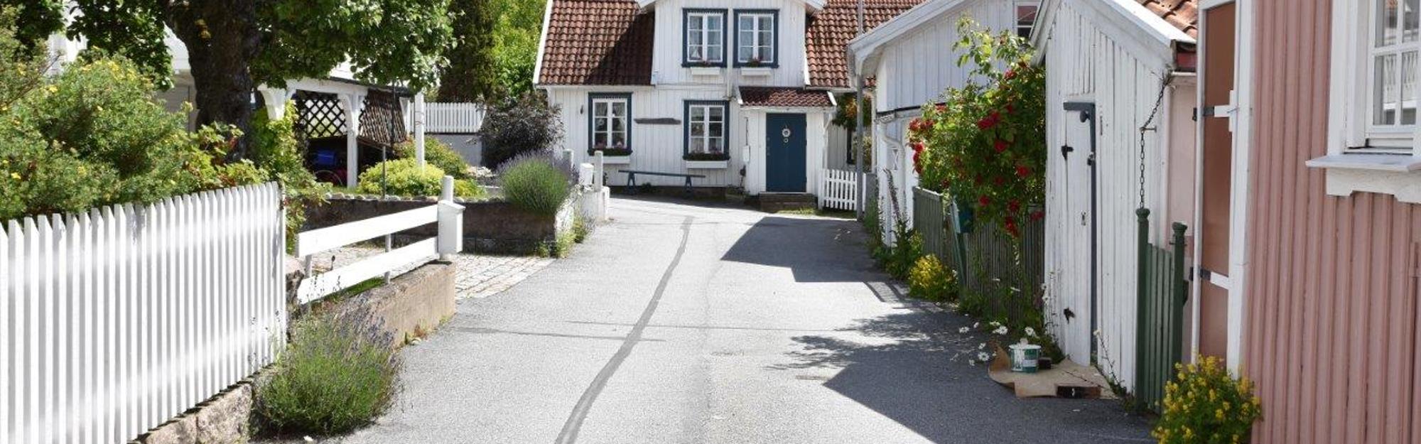 Tre barn på en gunga i trädgården en sommarkväll