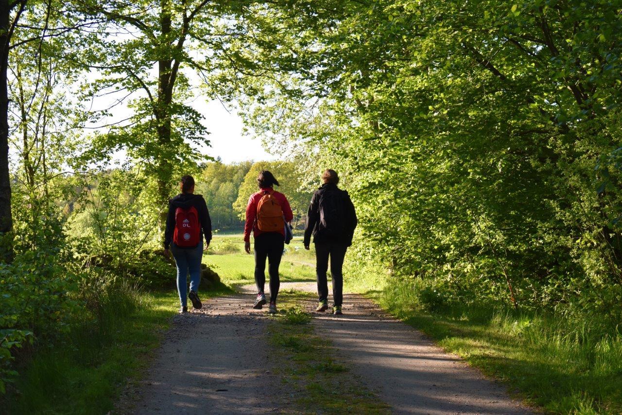 Bokskogen i Anneröd