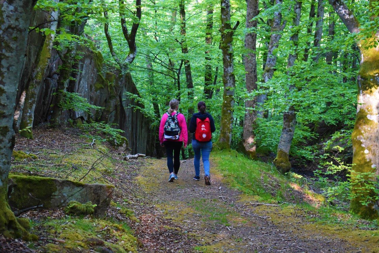 Bokskogen i Anneröd