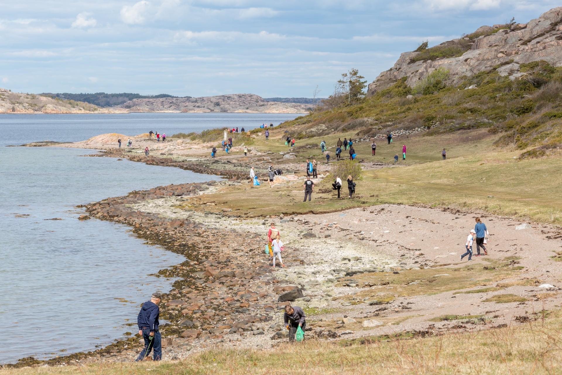 Människor strandstädar på Veddö Naturreservat