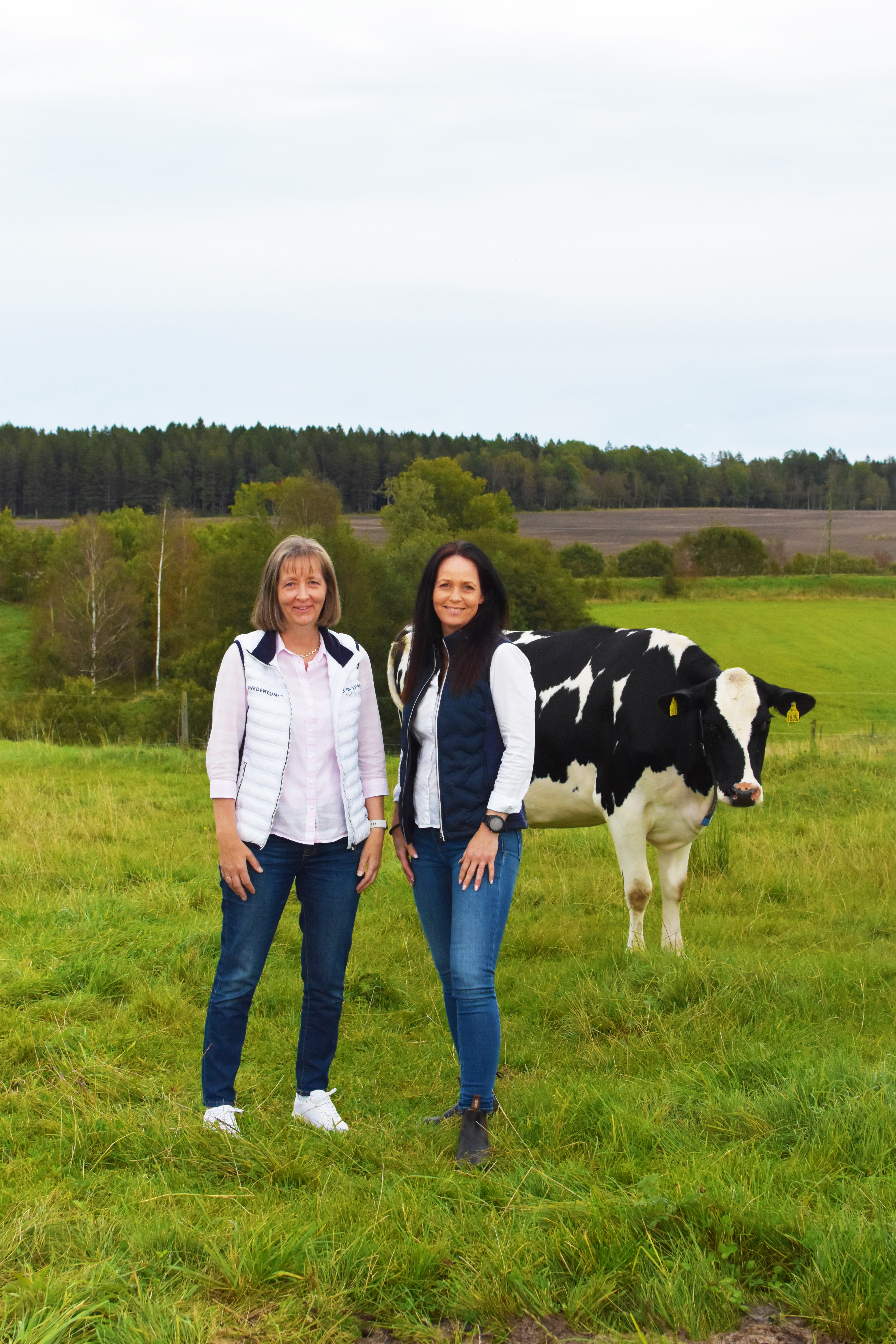 Monica Thelin och Sara Moberg, skog- och lantbrukspecialister på Sparbanken Tanum på en äng med en ko i bakgrunden